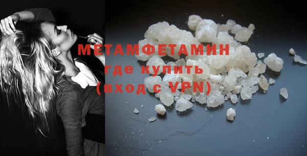 индика Новозыбков