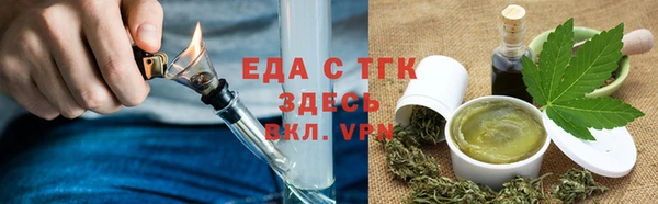 индика Новозыбков