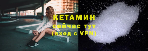 индика Новозыбков