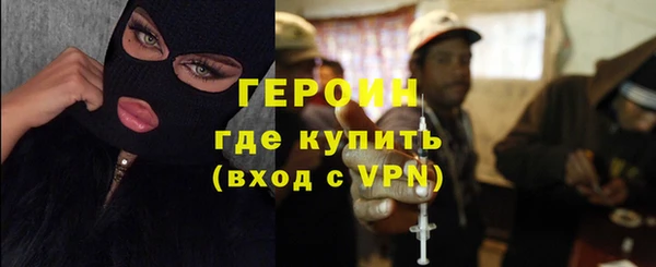 индика Новозыбков