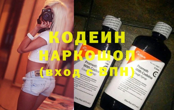 индика Новозыбков