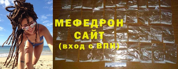 индика Новозыбков