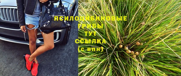 индика Новозыбков
