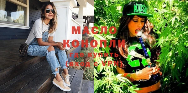 индика Новозыбков