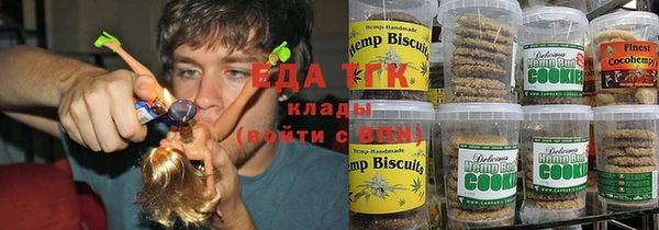 индика Новозыбков