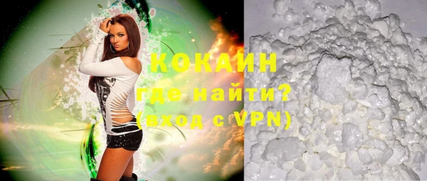 индика Новозыбков