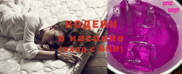 индика Новозыбков