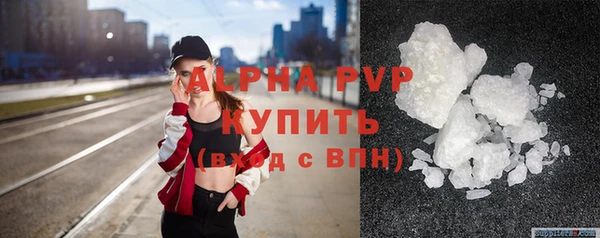 индика Новозыбков