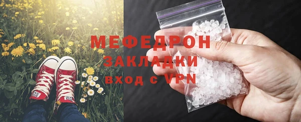 индика Новозыбков