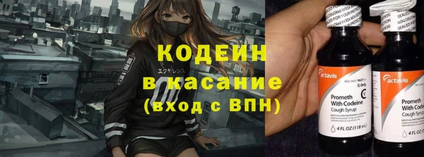 индика Новозыбков