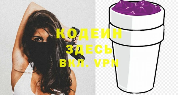 индика Новозыбков