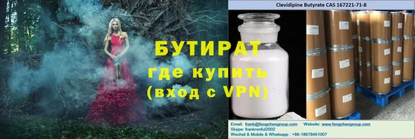 индика Новозыбков