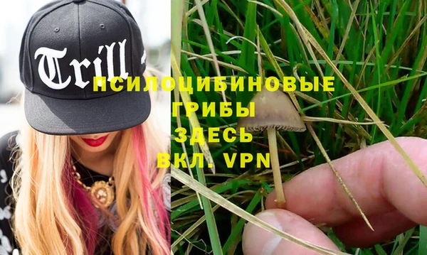 круглые Новодвинск