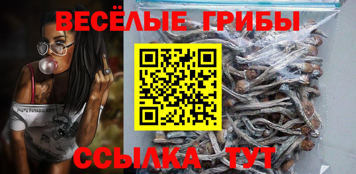 Псилоцибиновые грибы Cubensis  купить закладку  Вход с VPN  Белореченск  Галлюциногенные грибы прущие грибы 