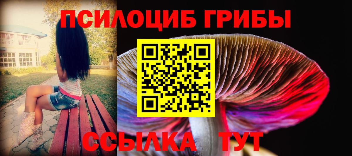 Галлюциногенные грибы мицелий Белореченск